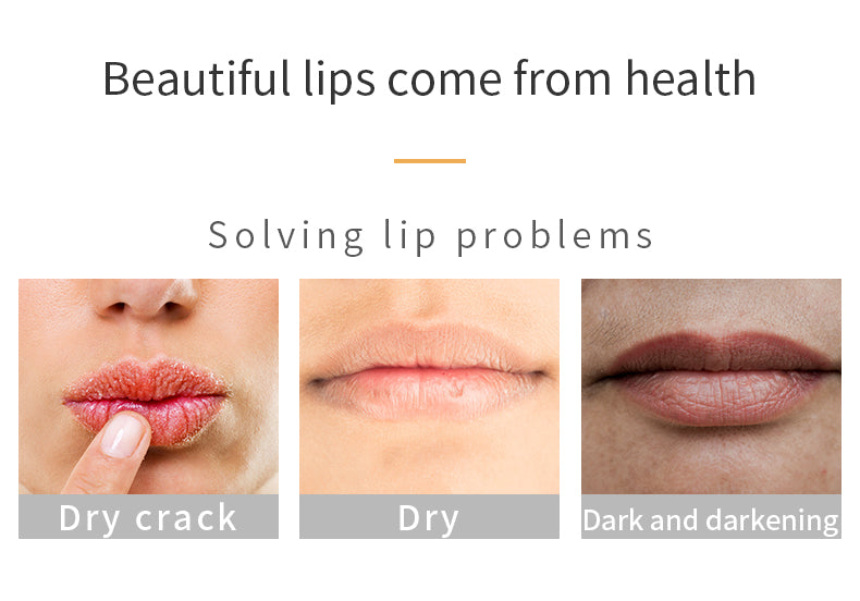 Nhà máy sản xuất mỹ phẩm Carrot Lip Balm Beauty Lip Care