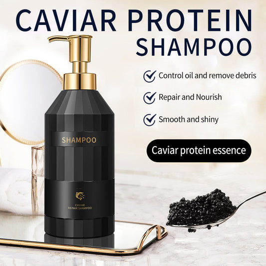 Dầu gội tinh chất protein Caviar Nhà sản xuất nhà máy OEM