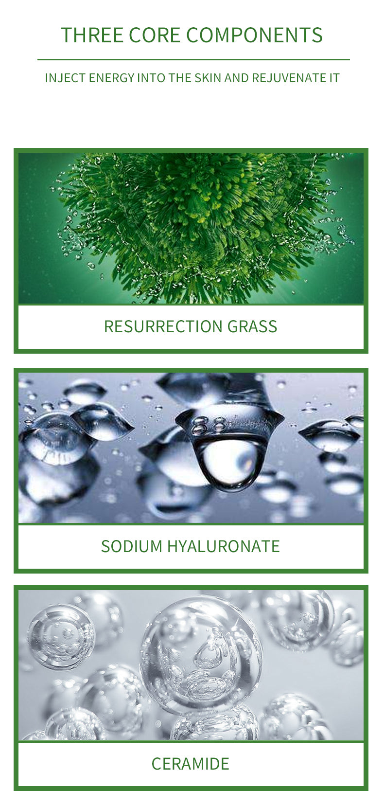 Resurrection Grass Polypeptide Mặt nạ ngủ Mỹ phẩm Nhà máy OEM ODM